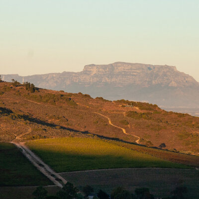 A new winery triptych