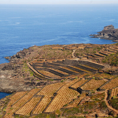Pantelleria