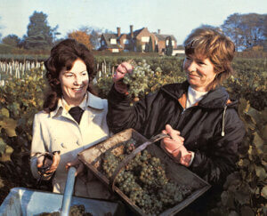 Birthplace of English Wine