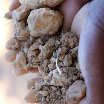 The world’s oldest soils