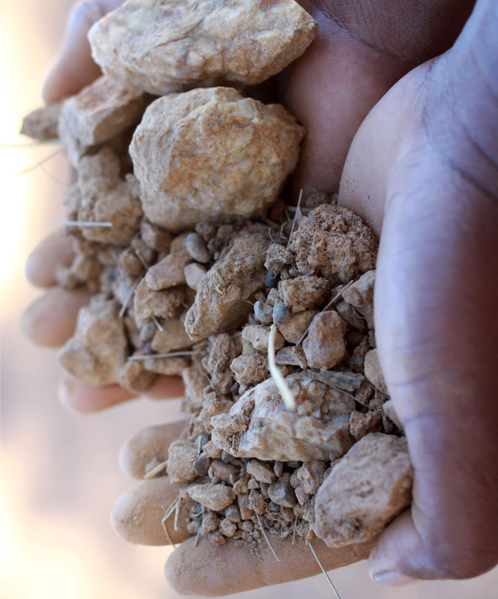 The world’s oldest soils