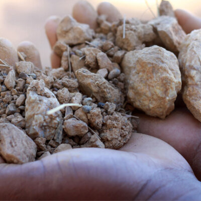 The world’s oldest soils